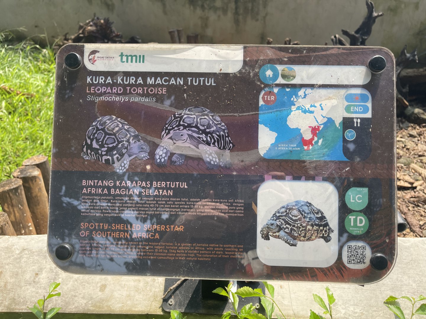 leopard tortoise signage