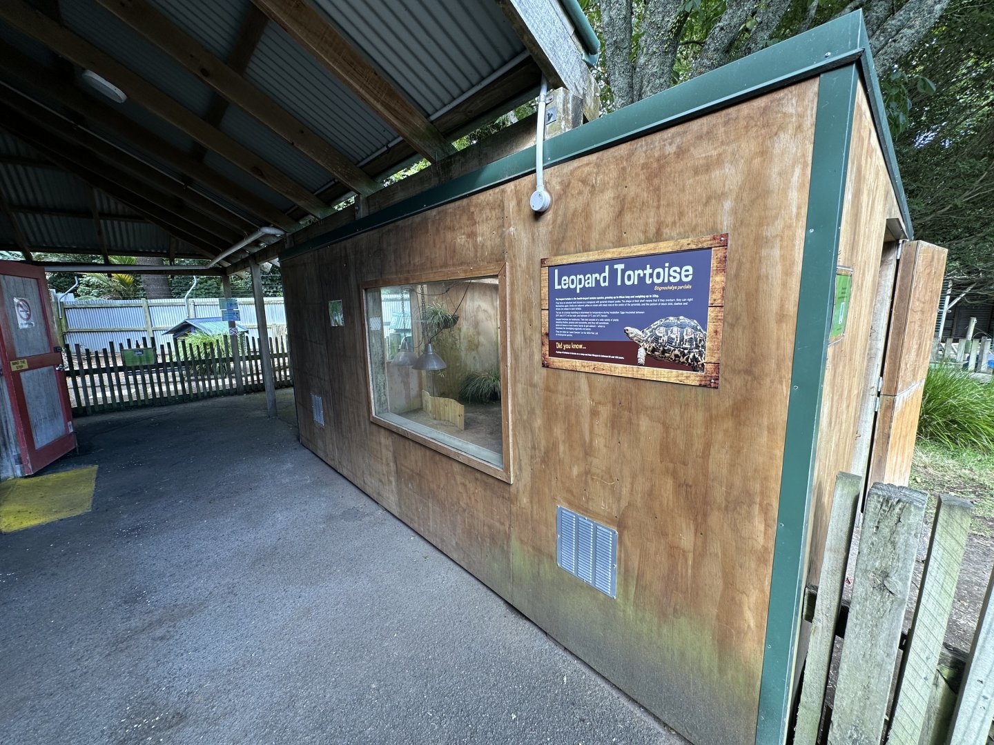 Leopard Tortoise Viewing Window