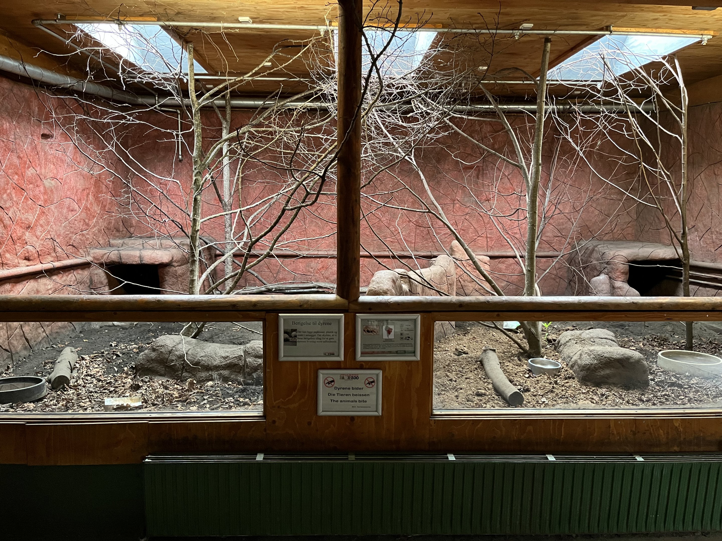 Leopard Tortoise/Yellow Armadillo Exhibit