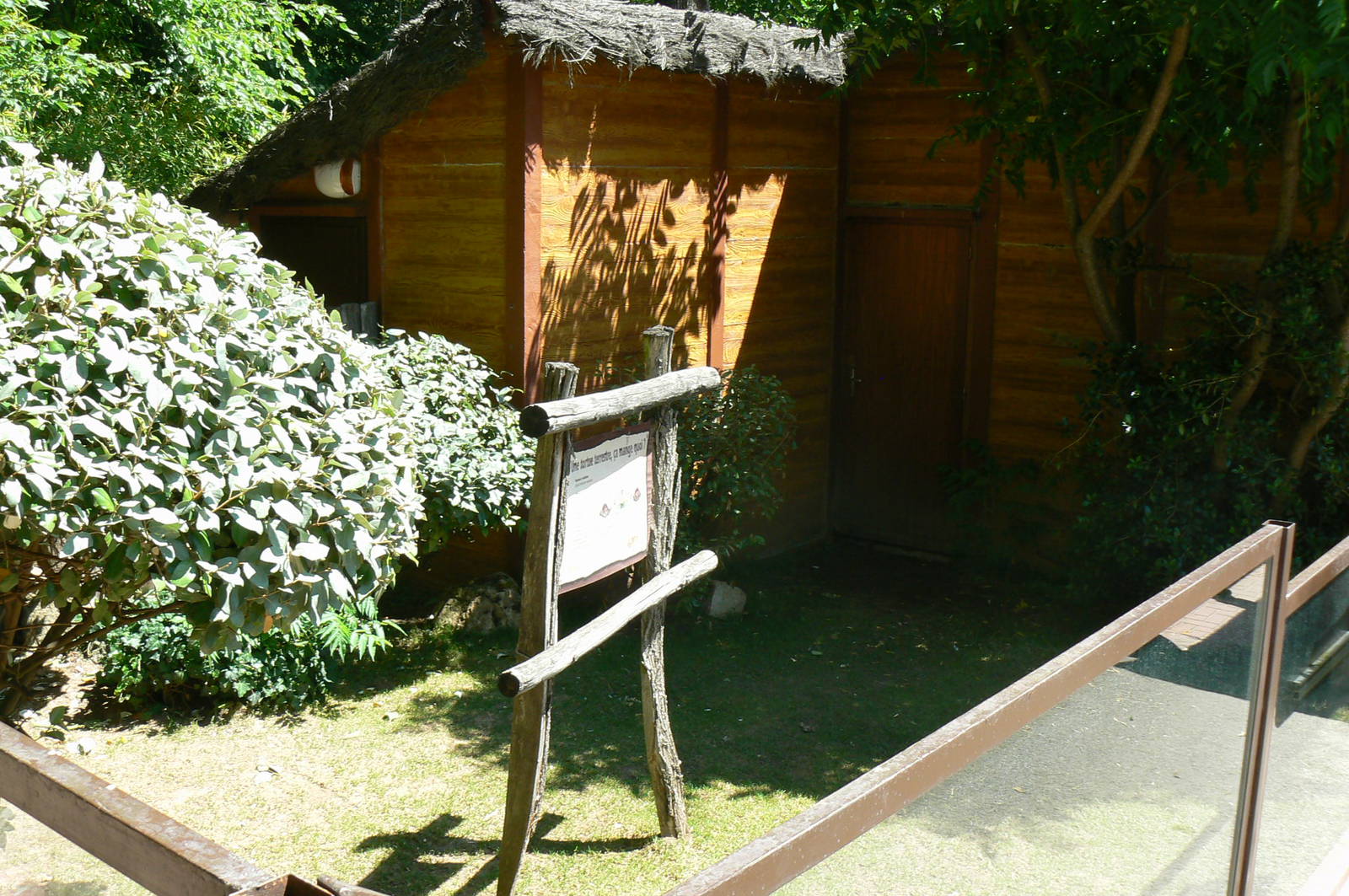 Leopard tortoises exhibit