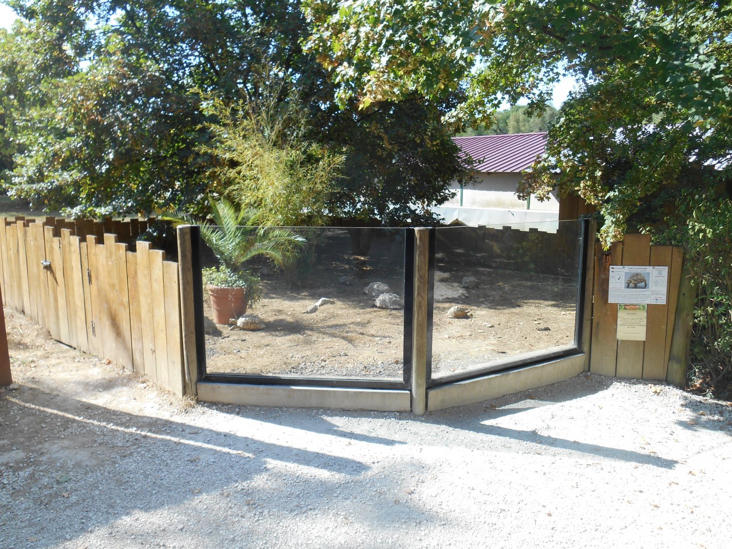 Leopard Tortoises Exhibit
