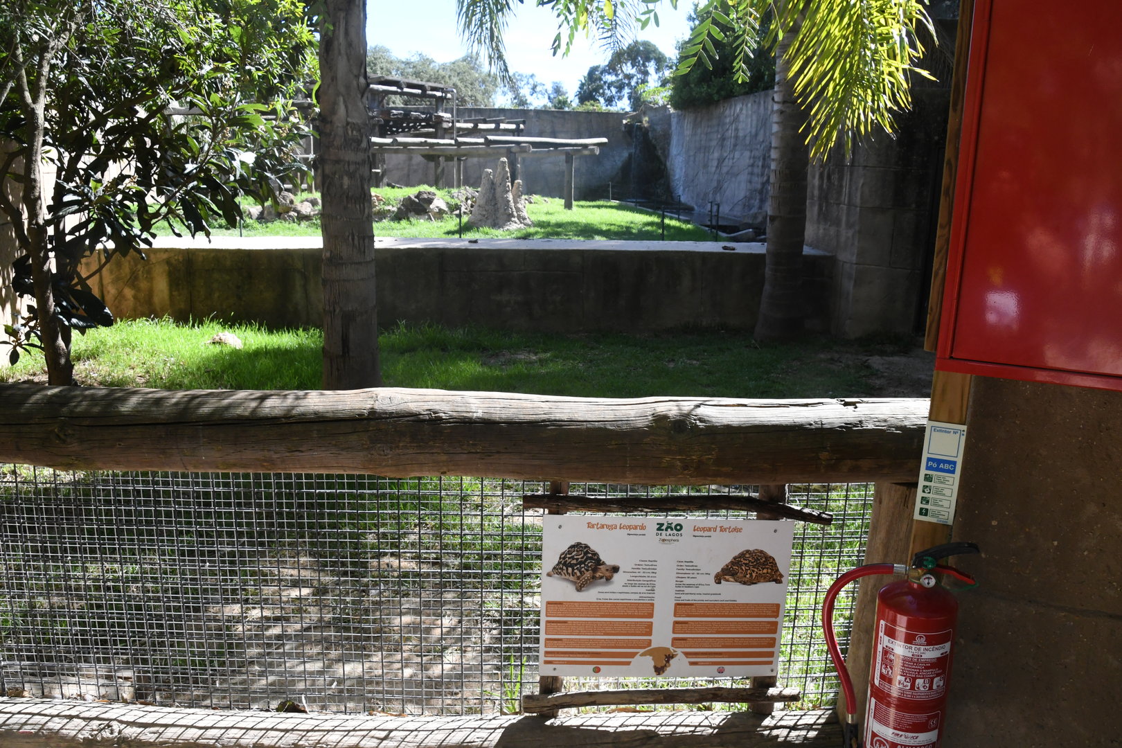 Leopard Tortoises pen in front of Chimpanzees Exhibit