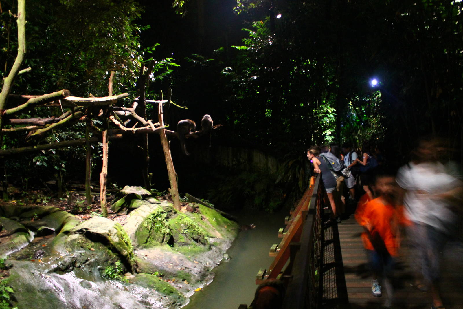 Leopard Trail - Binturong and Otter exhibit