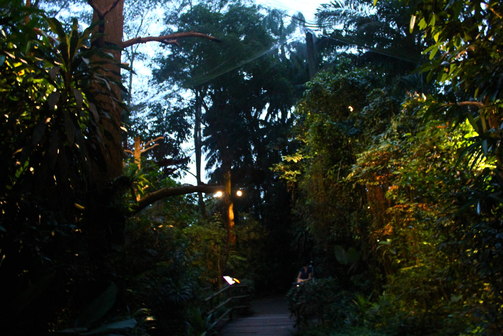 Leopard Trail - Giant Flying Squirrel walk-thru