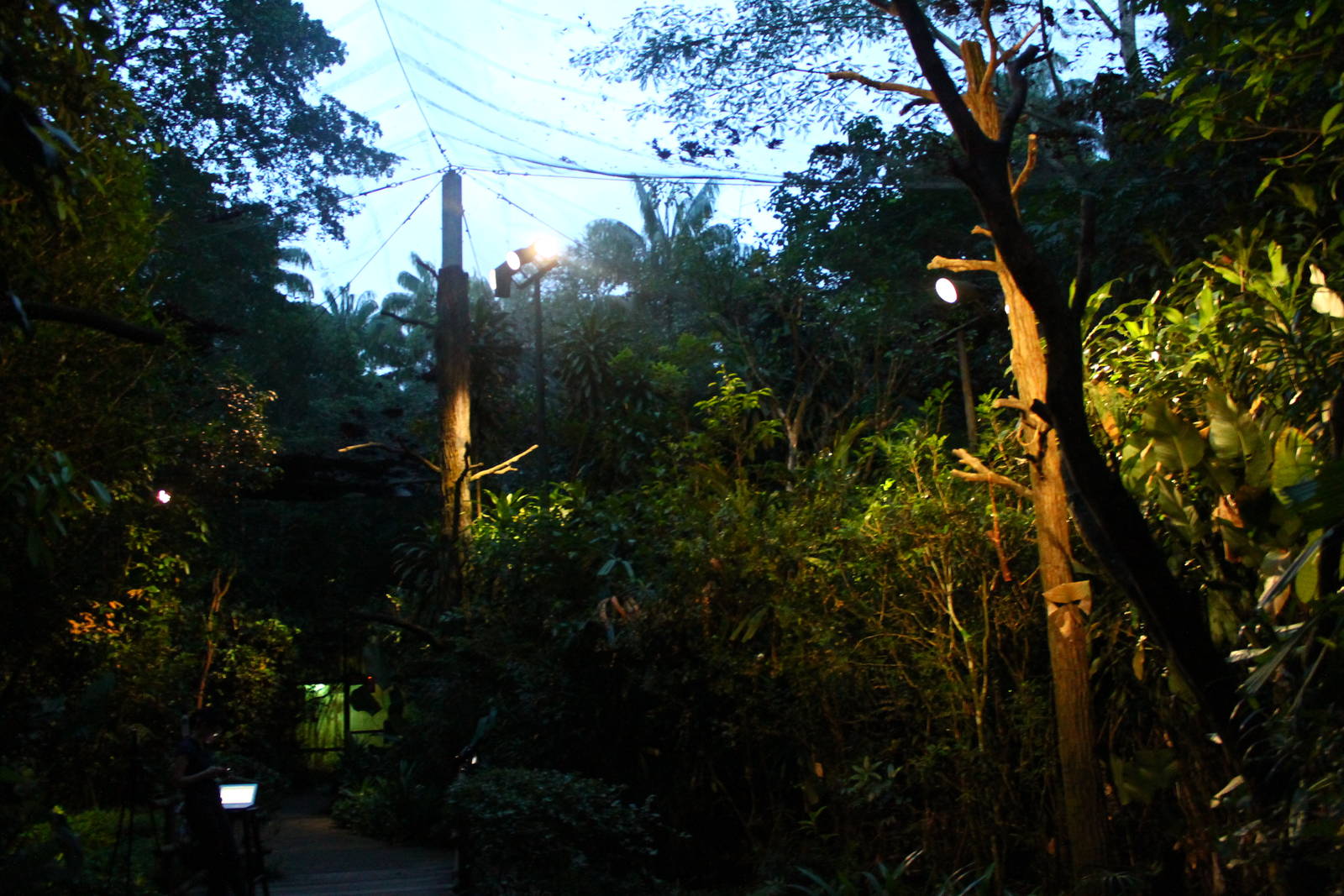 Leopard Trail - Giant Flying Squirrel walk-thru