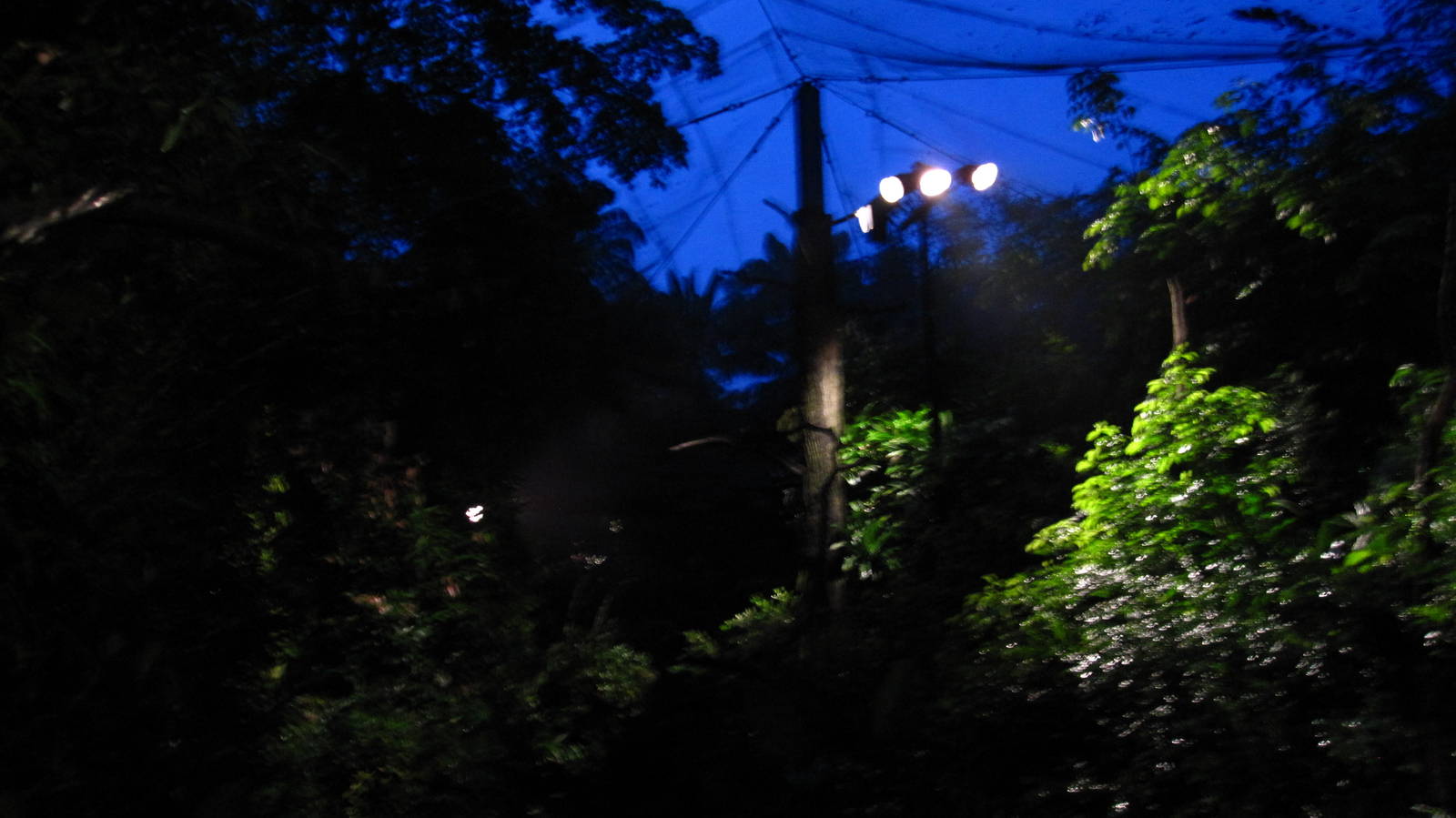 Leopard Trail - Giant Flying Squirrel walk-thru