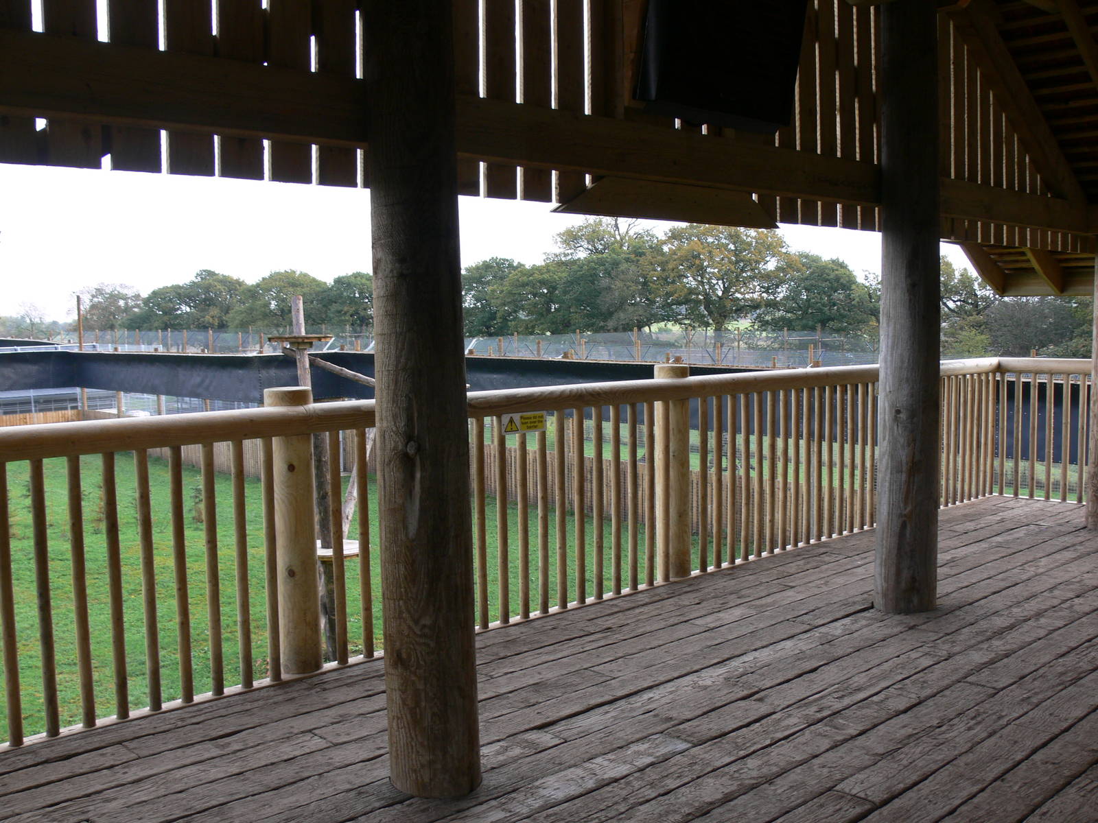Leopard viewing at Yorkshire WP 01/11/12