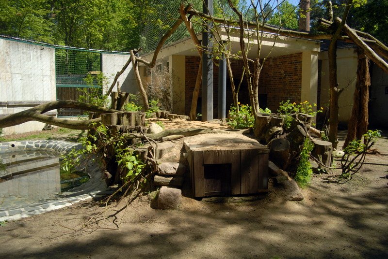 Leopardenclosure at Cottbus