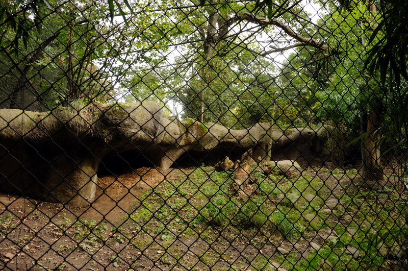 Leopardenclosure at Hamburg