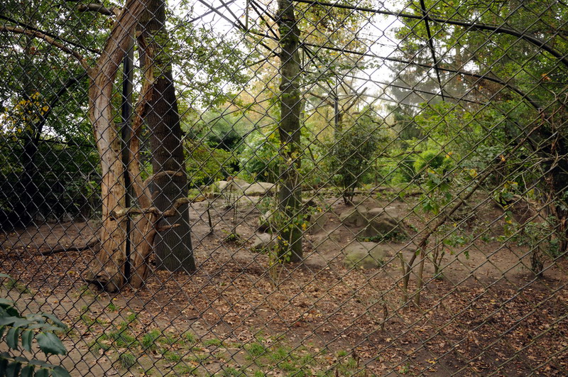 Leopardenclosure at Hamburg