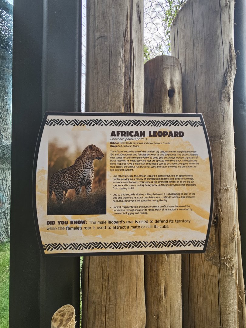 Leopards are here now