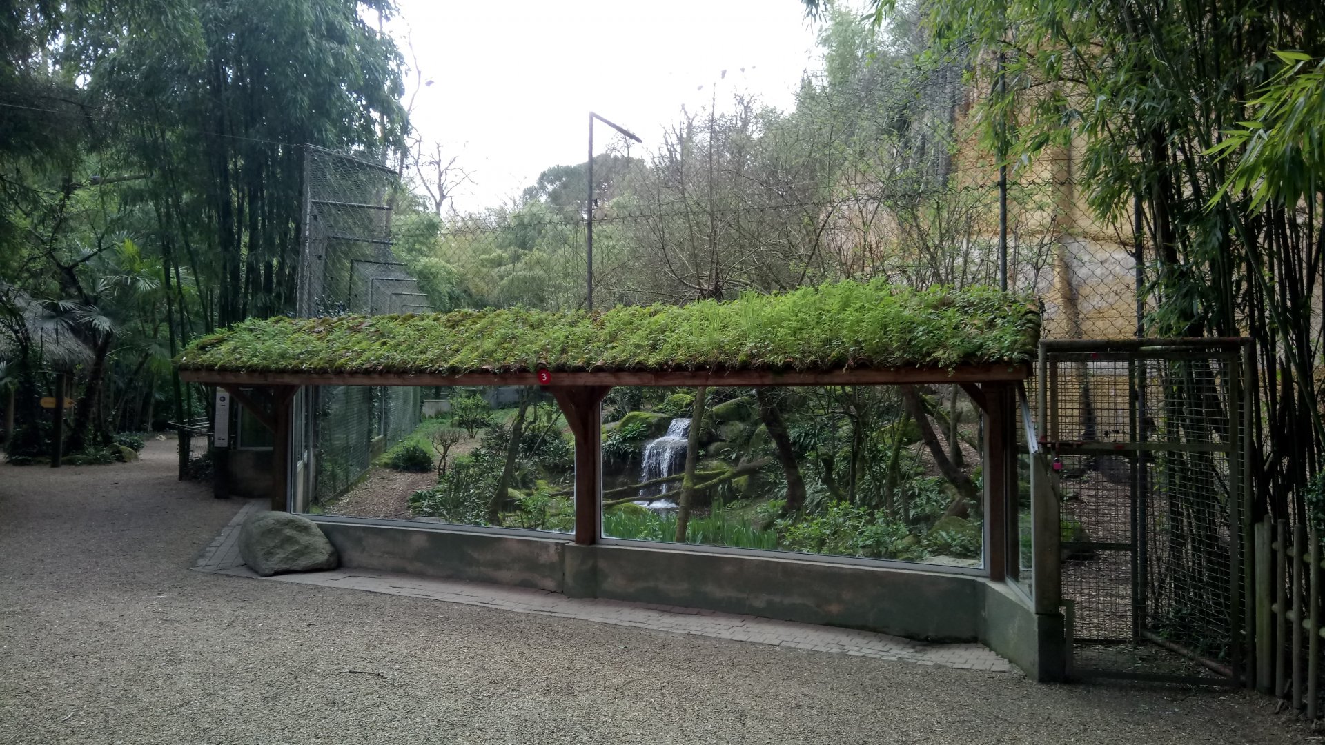 Leopards canyon - Sri Lankan leopards enclosure