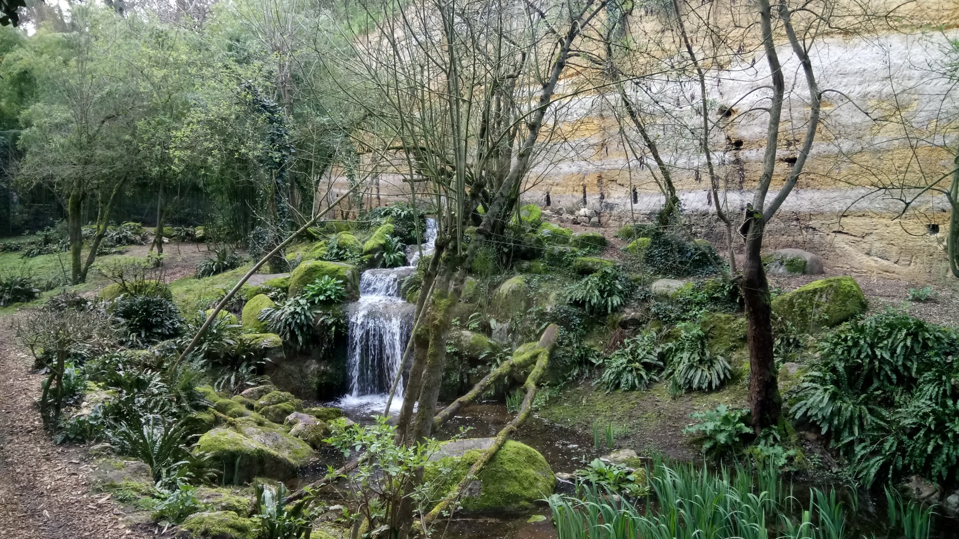 Leopards canyon - Sri Lankan leopards enclosure