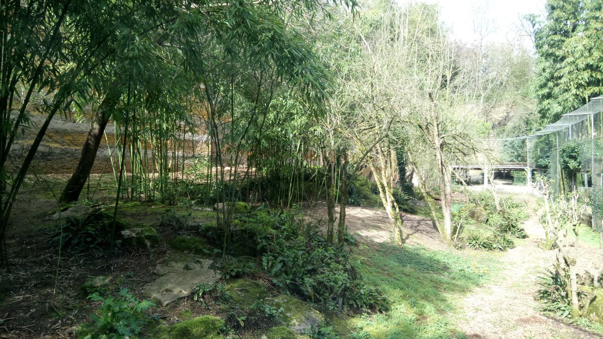Leopards canyon - Sri Lankan leopards enclosure