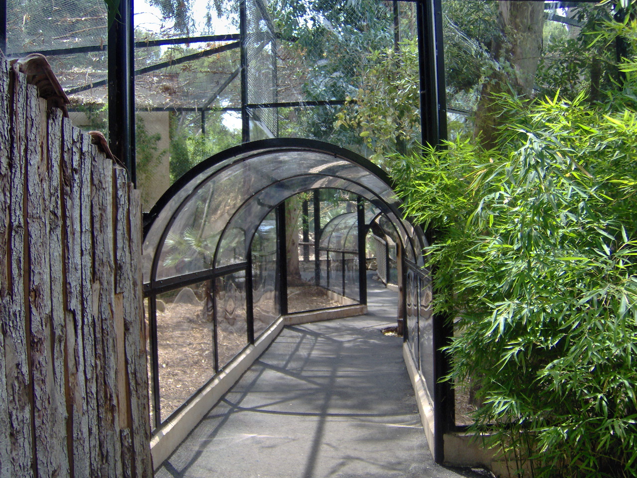 Leopards exhibit 2007