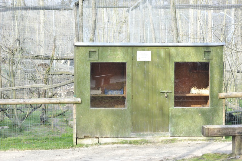 Leopardus tigrinus enclosure