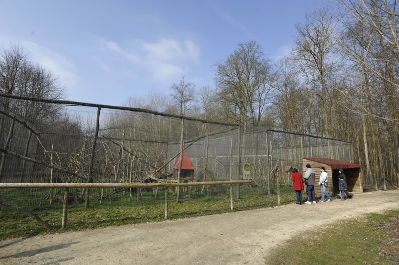 Leopardus tigrinus enclosure