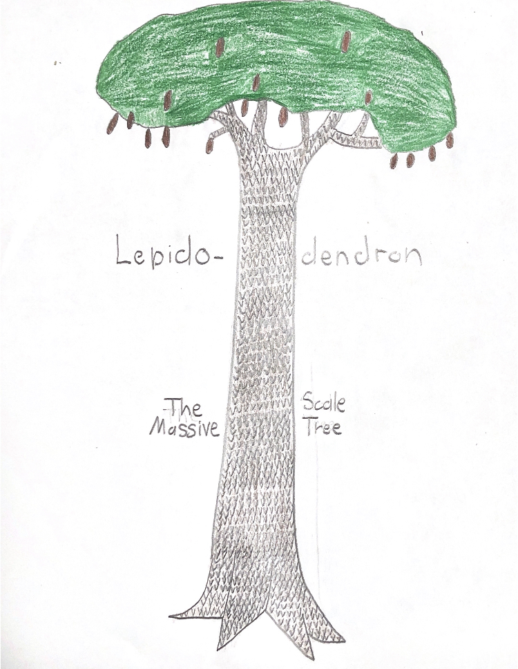 Lepidodendron