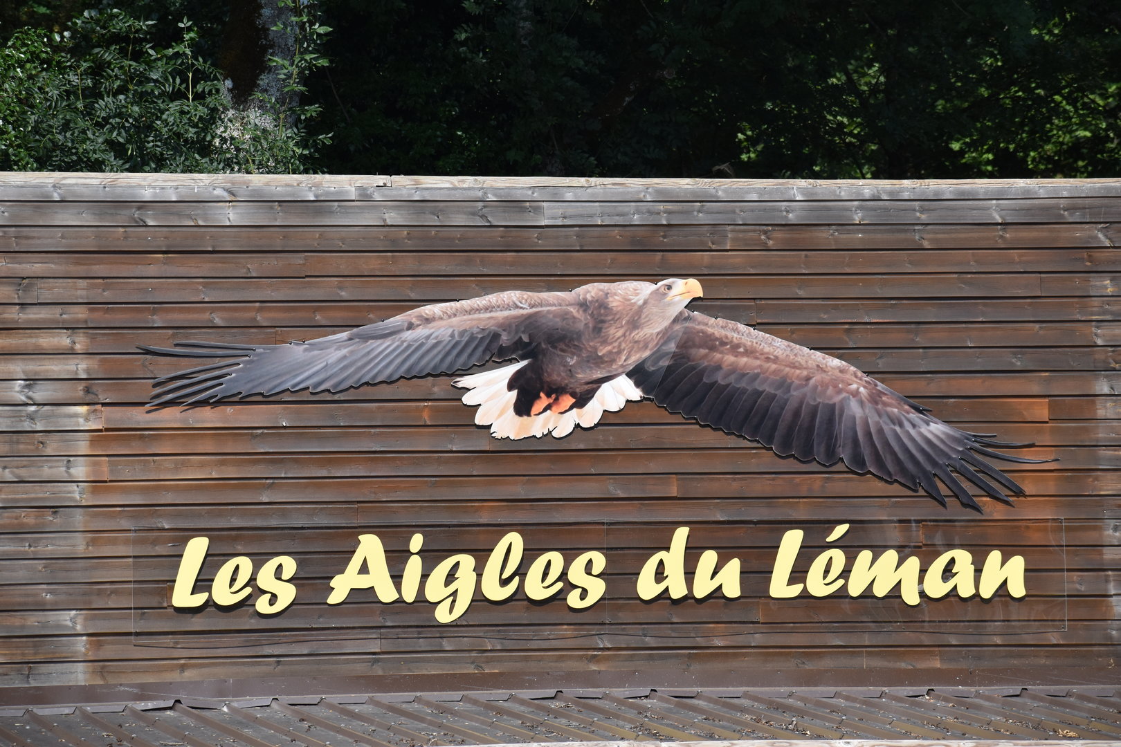 Les Aigles du Léman