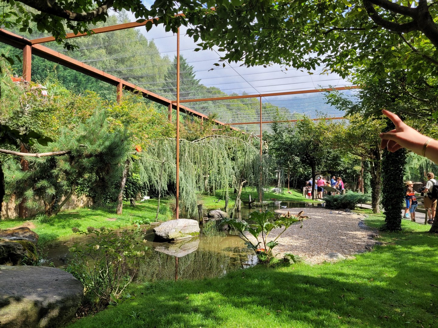 "Les Ailes de la Nature" aviary -Parc Animalier des Pyrénées (2023)