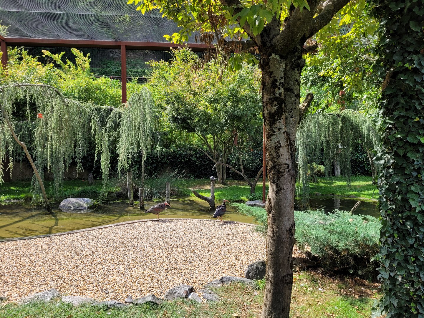 "Les Ailes de la Nature" aviary -Parc Animalier des Pyrénées (2023)