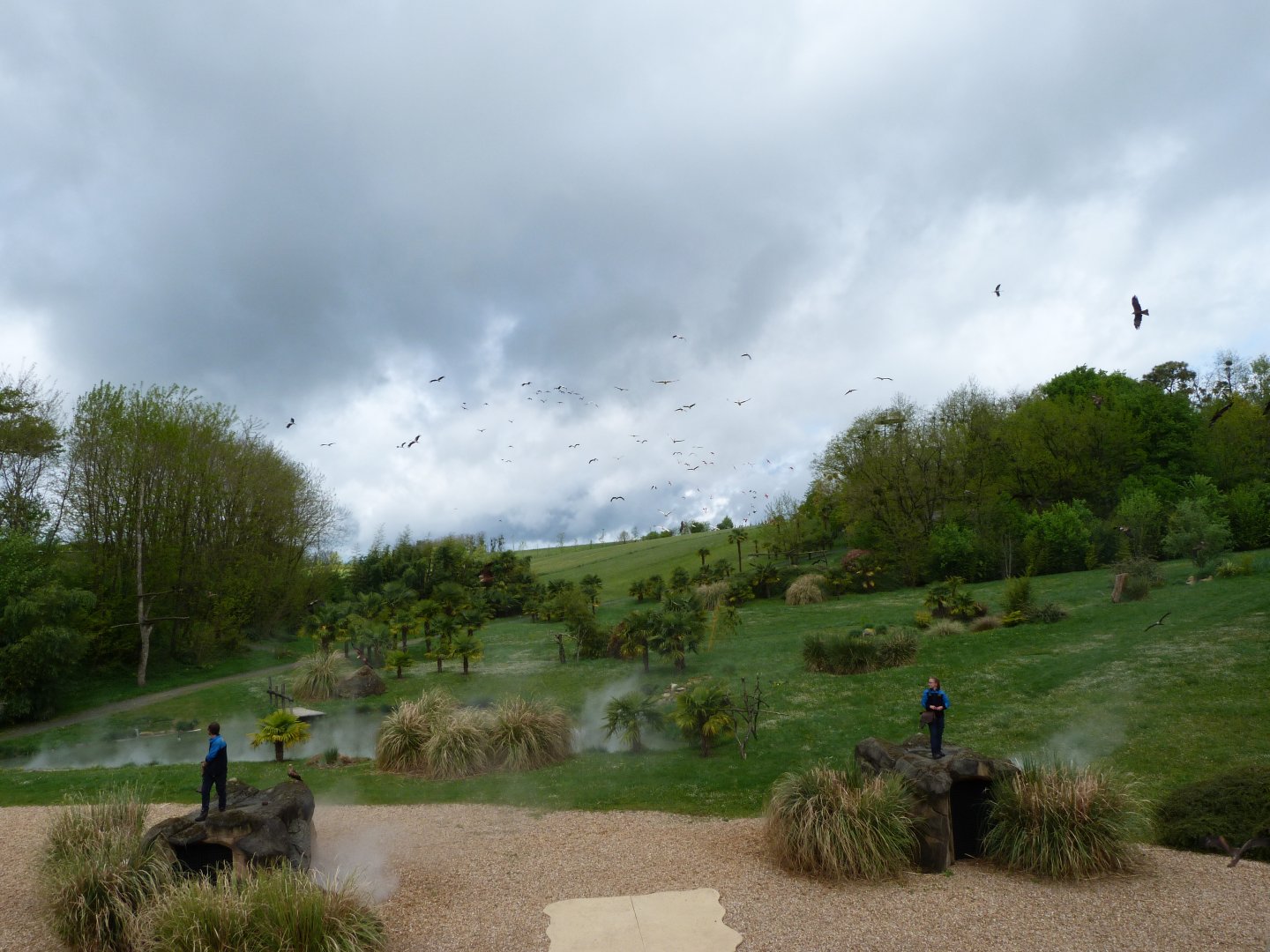 "Les Maîtres des Airs" view -ZooParc de Beauval (2025)