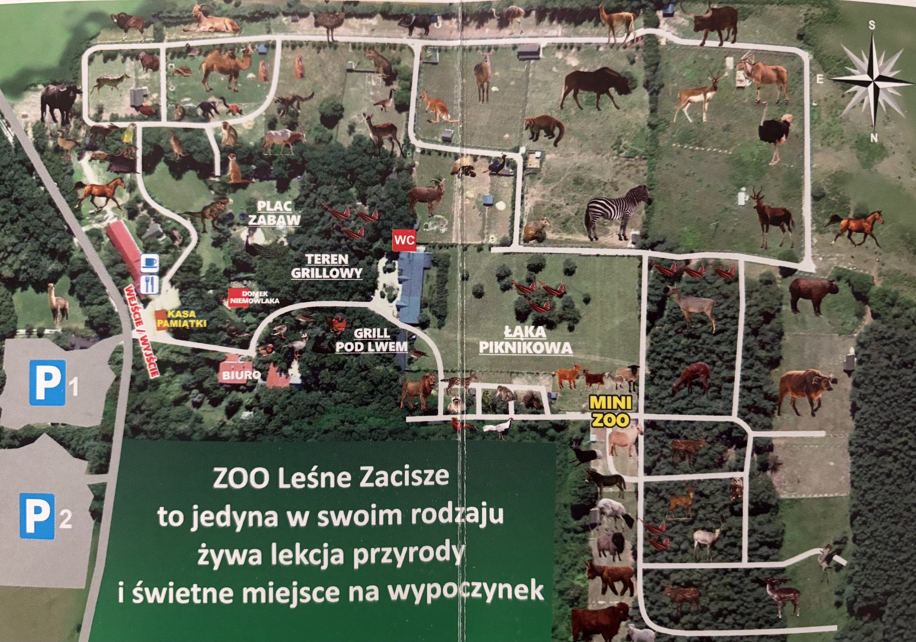 Lesne Zacisze Zoo Map - undated
