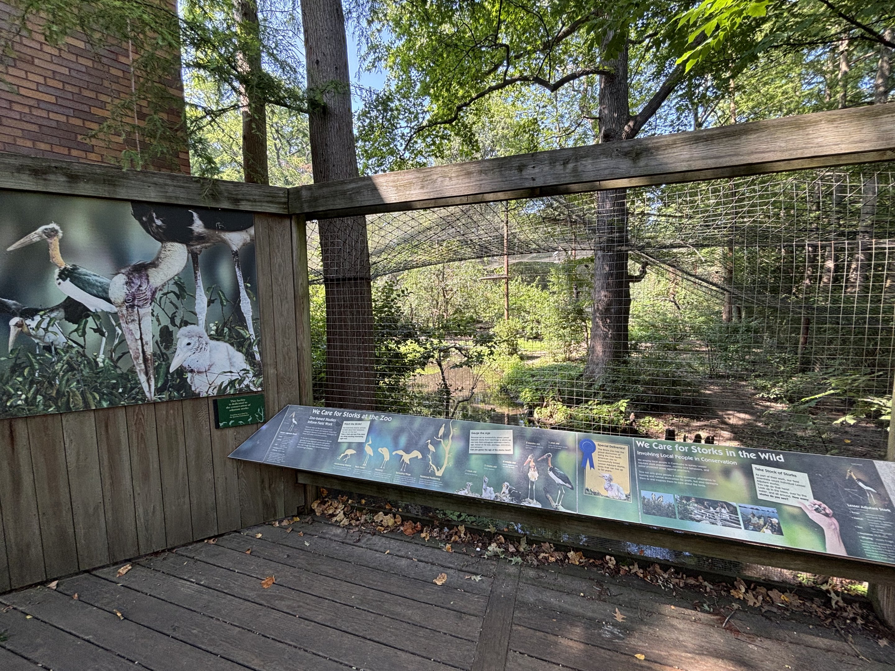 Lesser Adjutant Aviary
