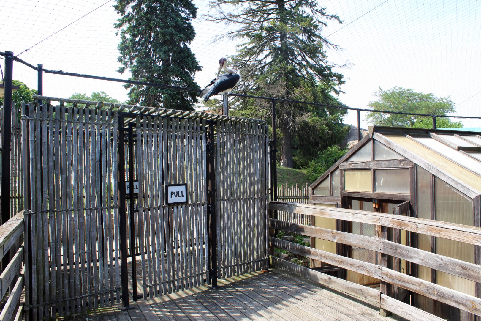 Lesser Adjutant Stork & Western Tufted Deer Aviary Entrance