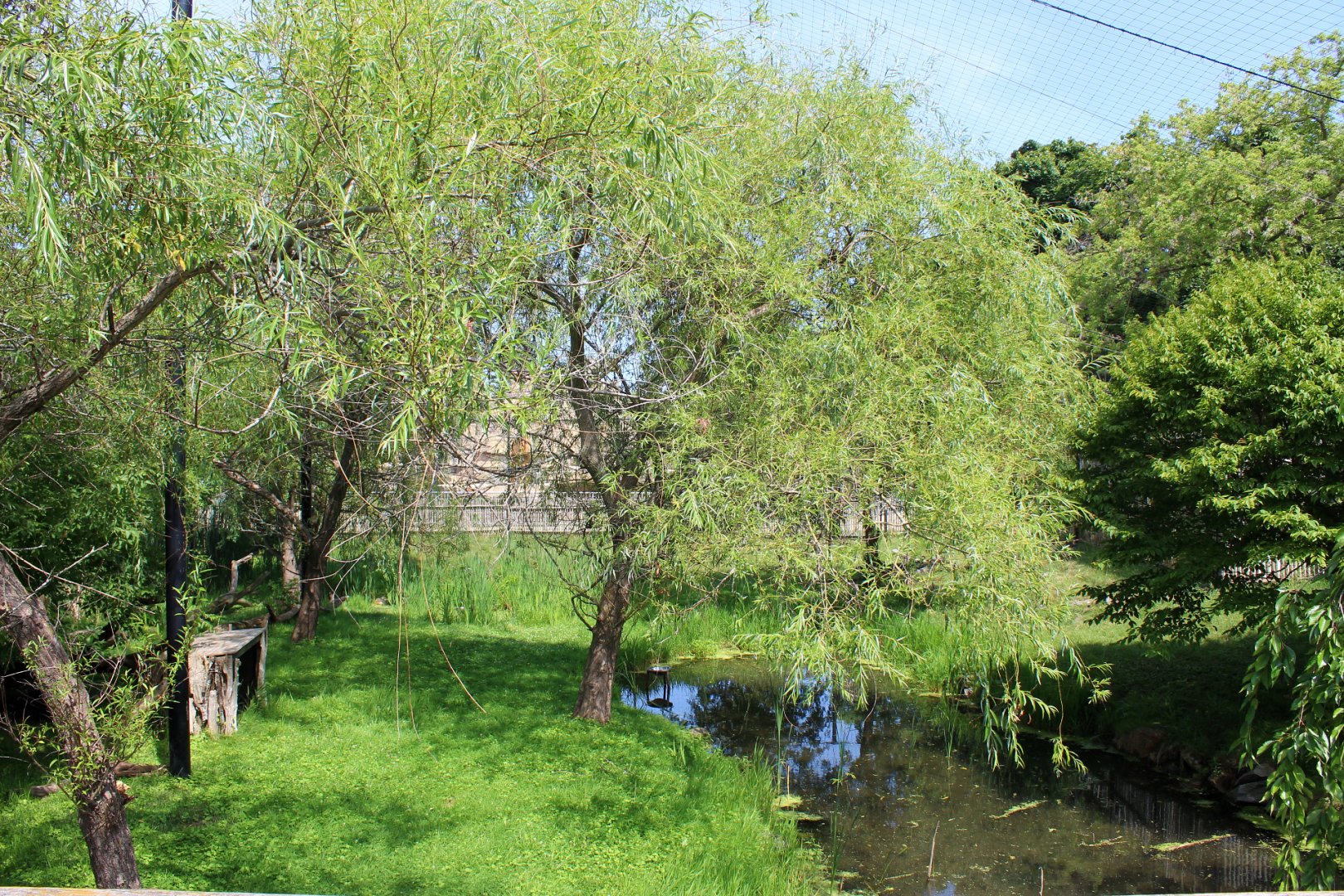 Lesser Adjutant Stork & Western Tufted Deer Aviary