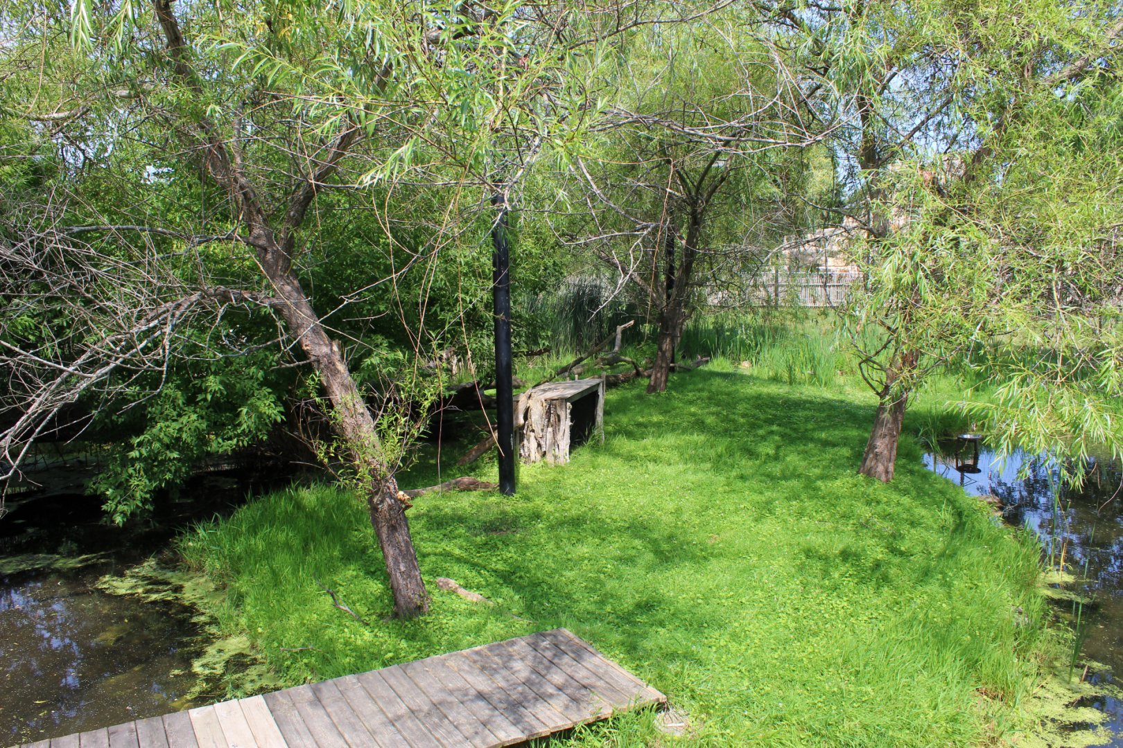 Lesser Adjutant Stork & Western Tufted Deer Aviary