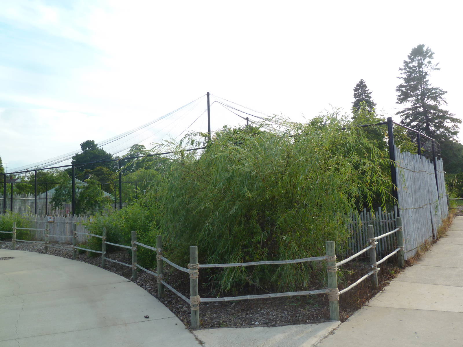 Lesser Adjutant Stork /Western Tufted Deer Exhibit - Outstanding!