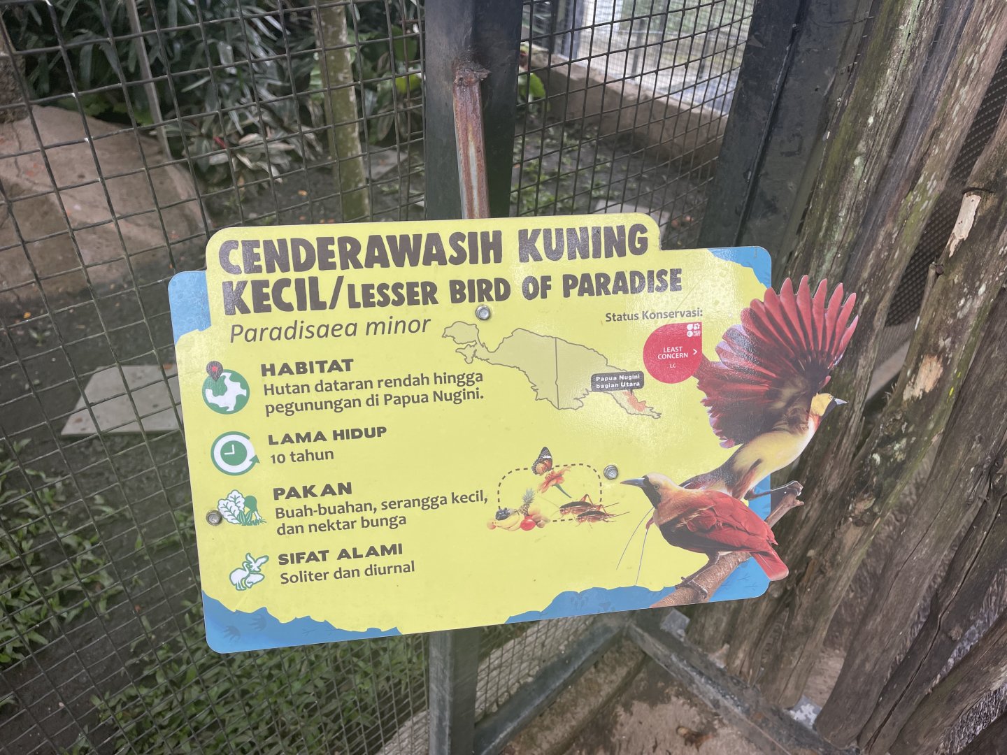 lesser bird-of-paradise signage