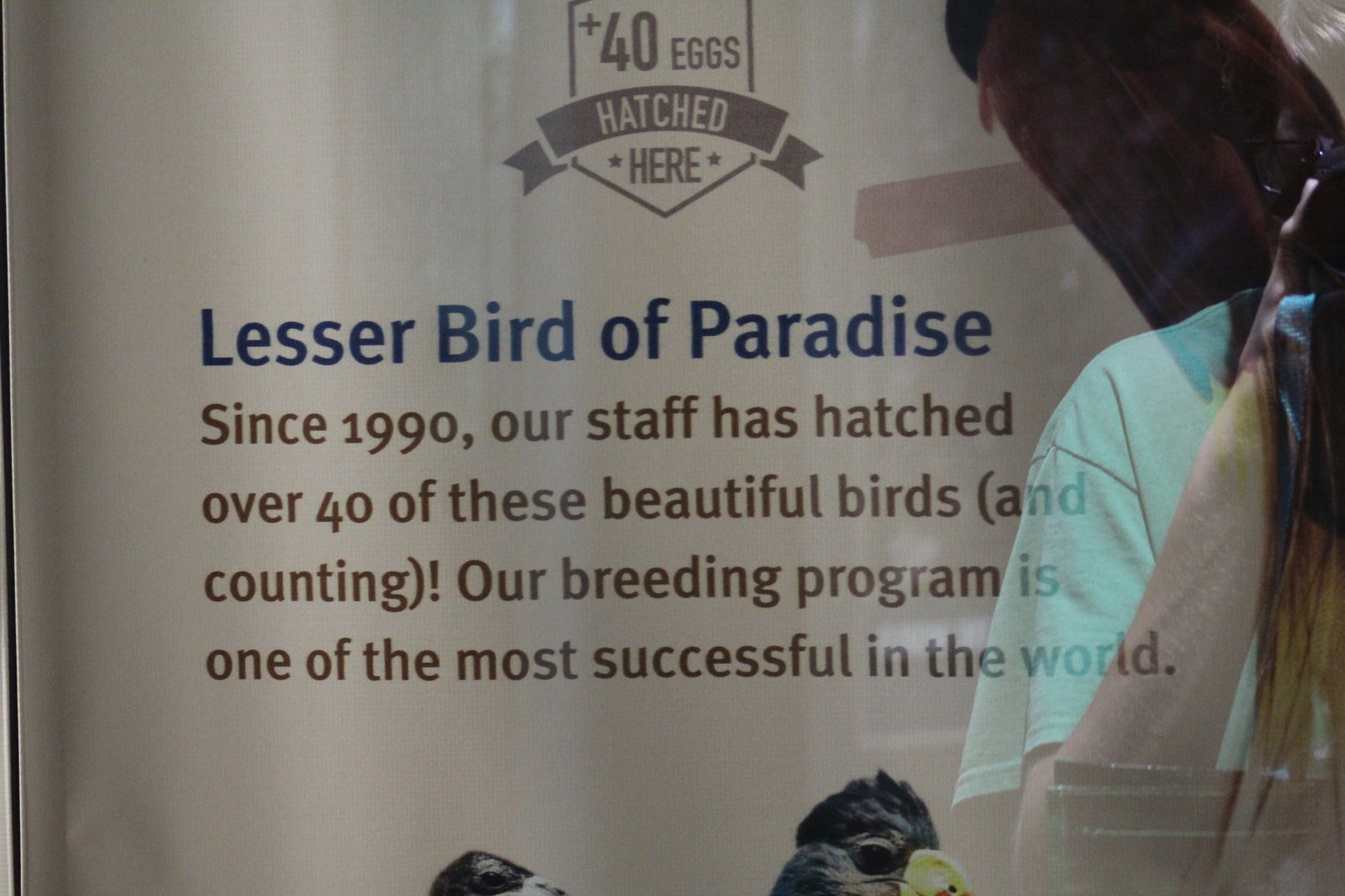 Lesser BOP Achievements