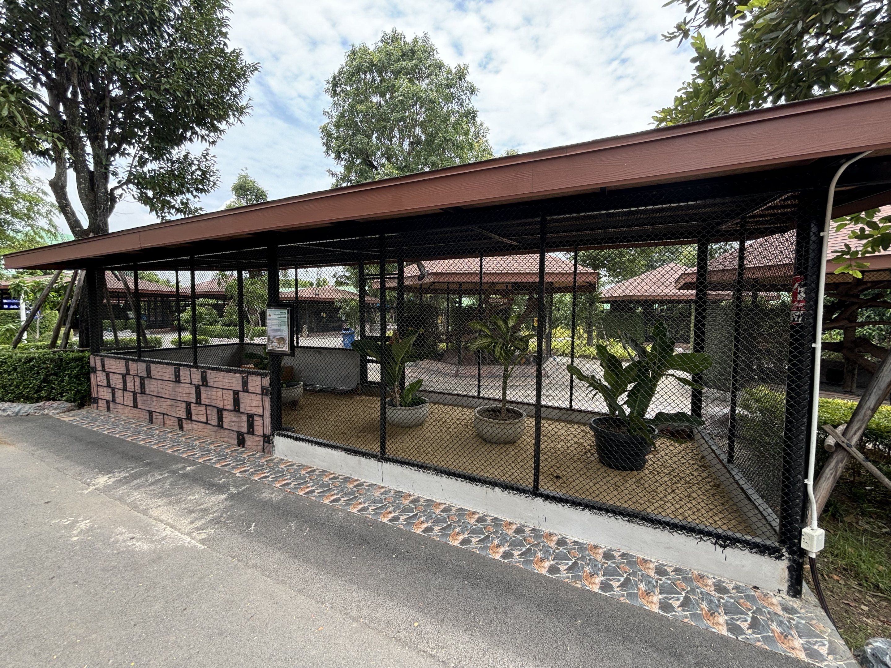 Lesser Chevrotain Exhibit - Lion Park