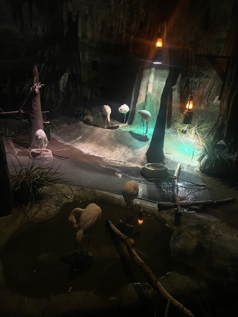 Lesser Flamingo and Great Egret Exhibit