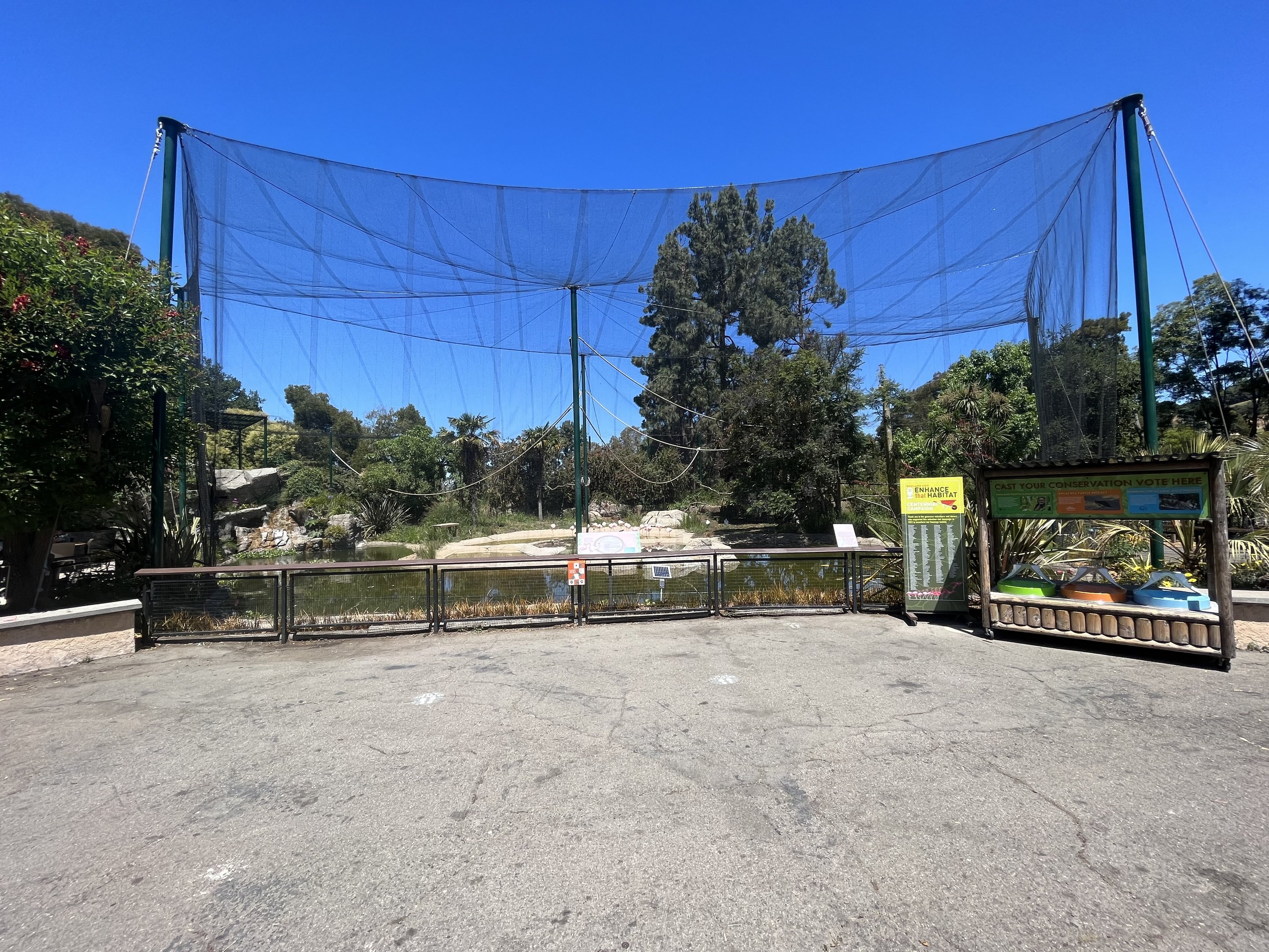 Lesser Flamingo Aviary