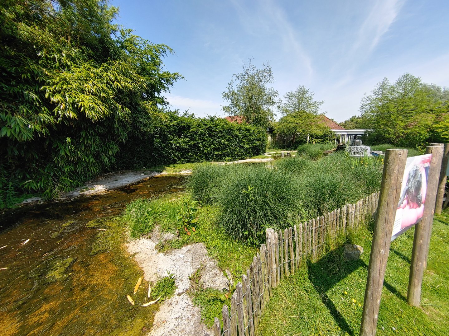 Lesser flamingo enclosure - seen from the African penguin enclosure