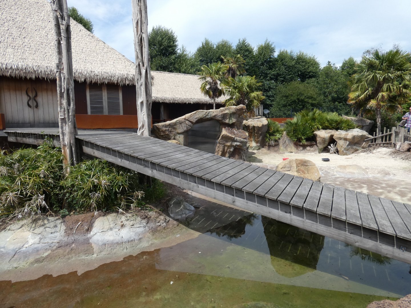 Lesser Flamingo enclosure