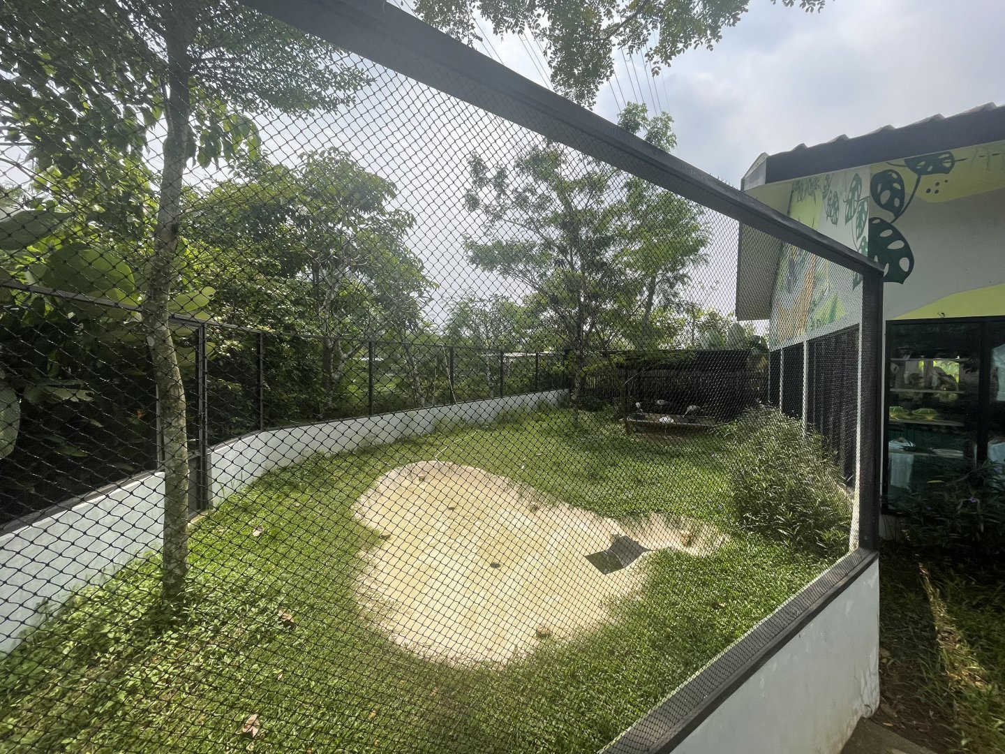 lesser flamingo exhibit - aviary park