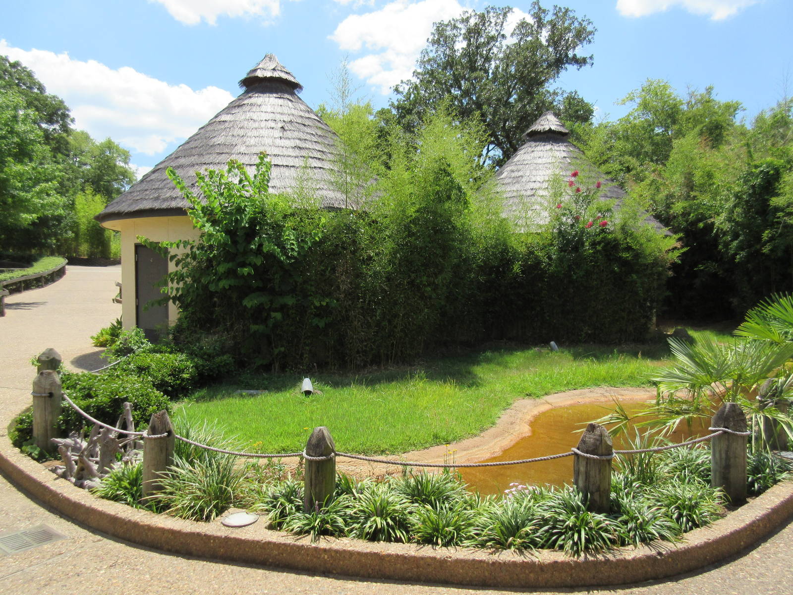 Lesser Flamingo Exhibit (currently empty)