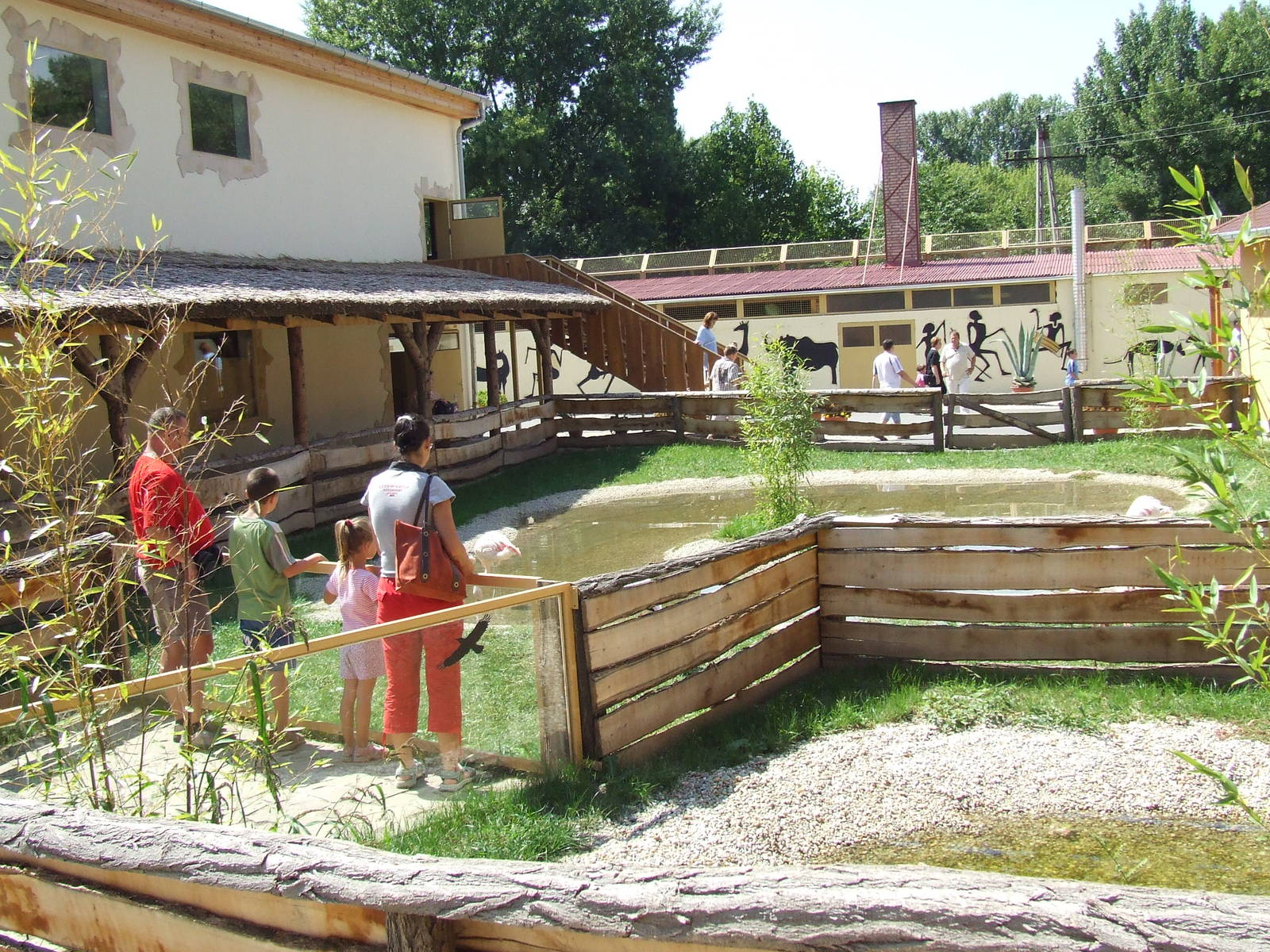 Lesser Flamingo exhibit