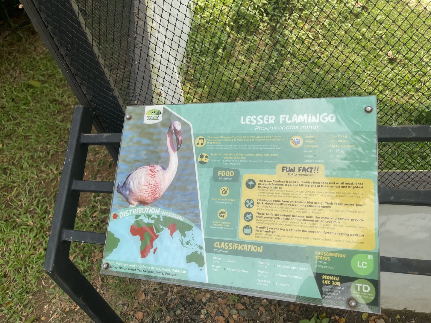 lesser flamingo signage - aviary park