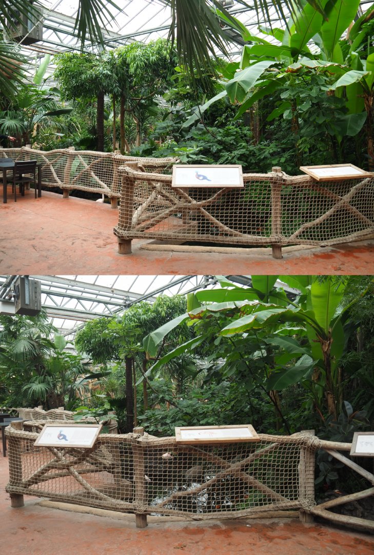 Lesser flamingo viewing area, 2020-09-03