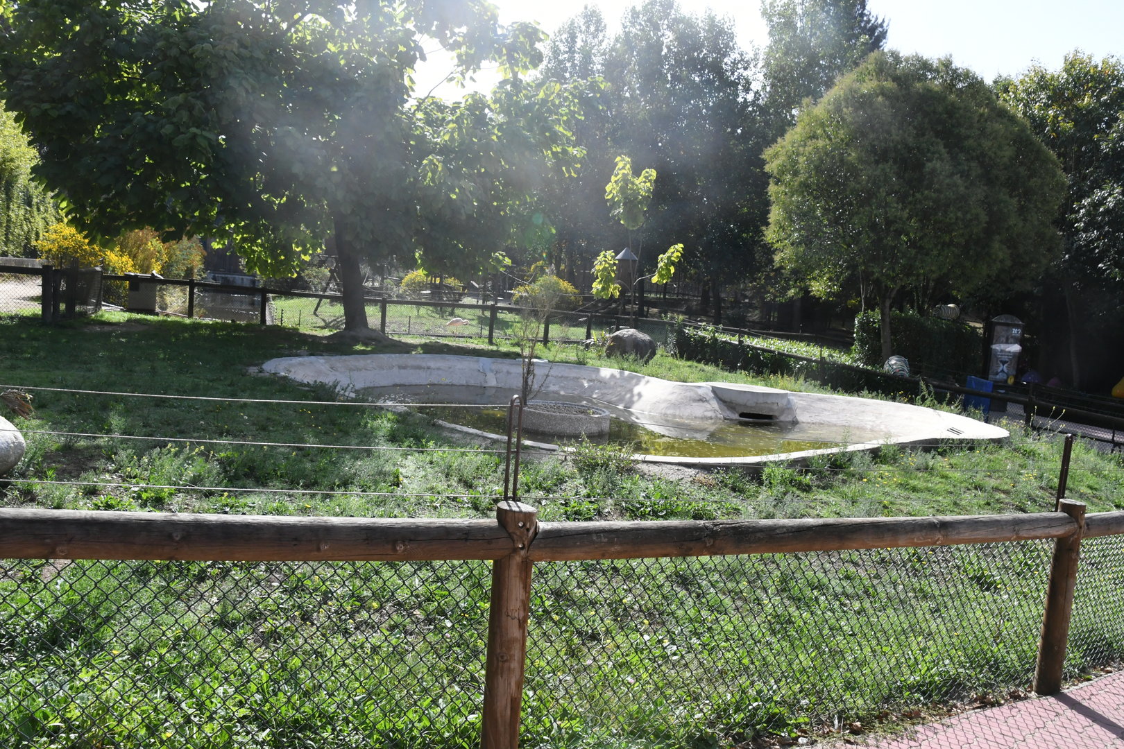 Lesser Flamingos exhibit