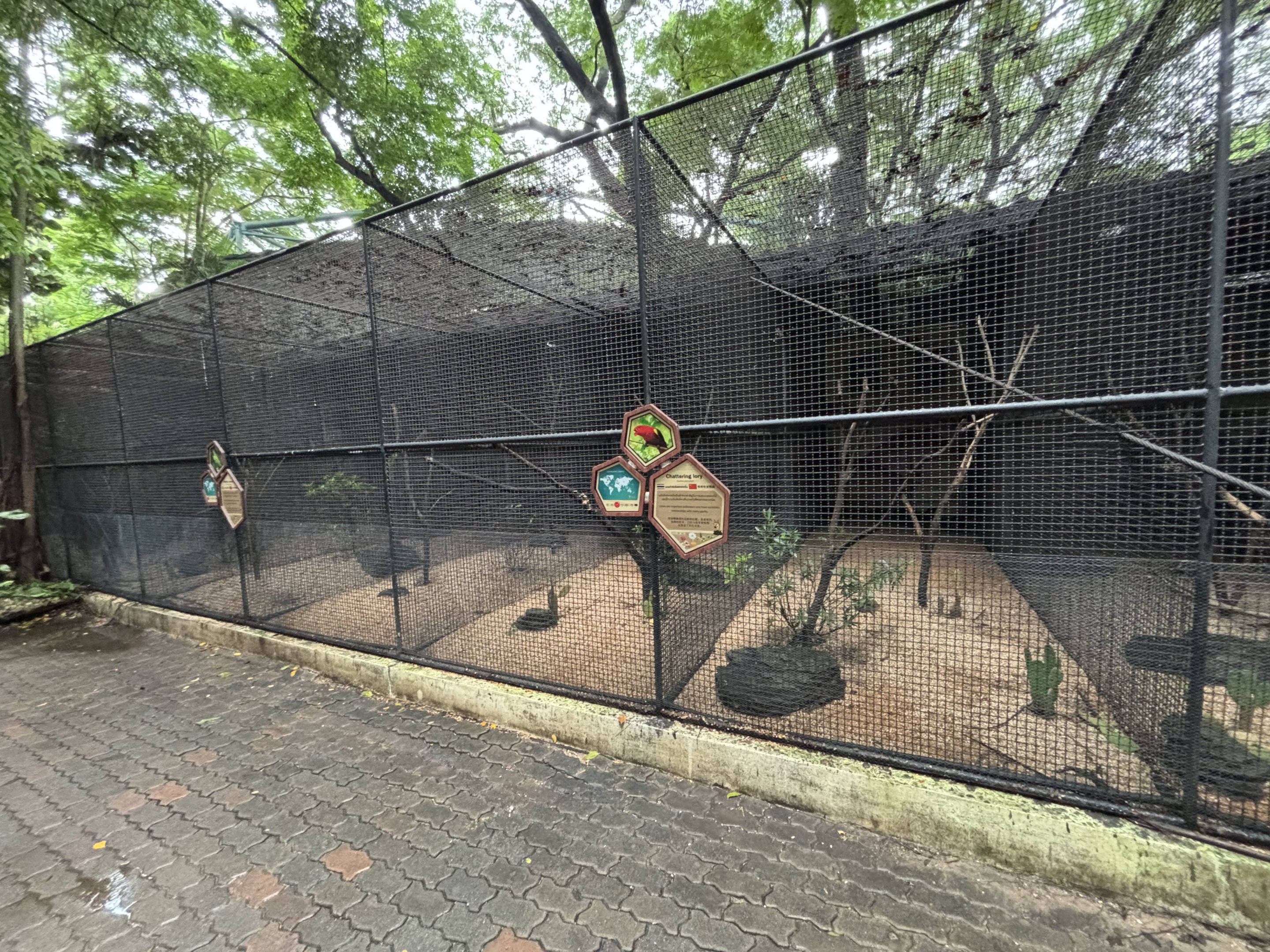 Lesser + Greater Vasa Parrot Aviaries