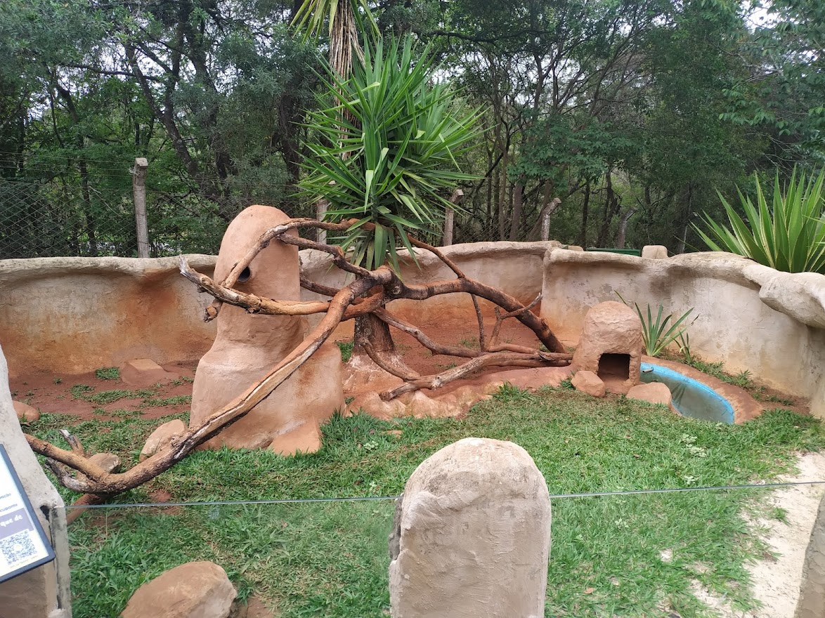 Lesser Grison Habitat in late October