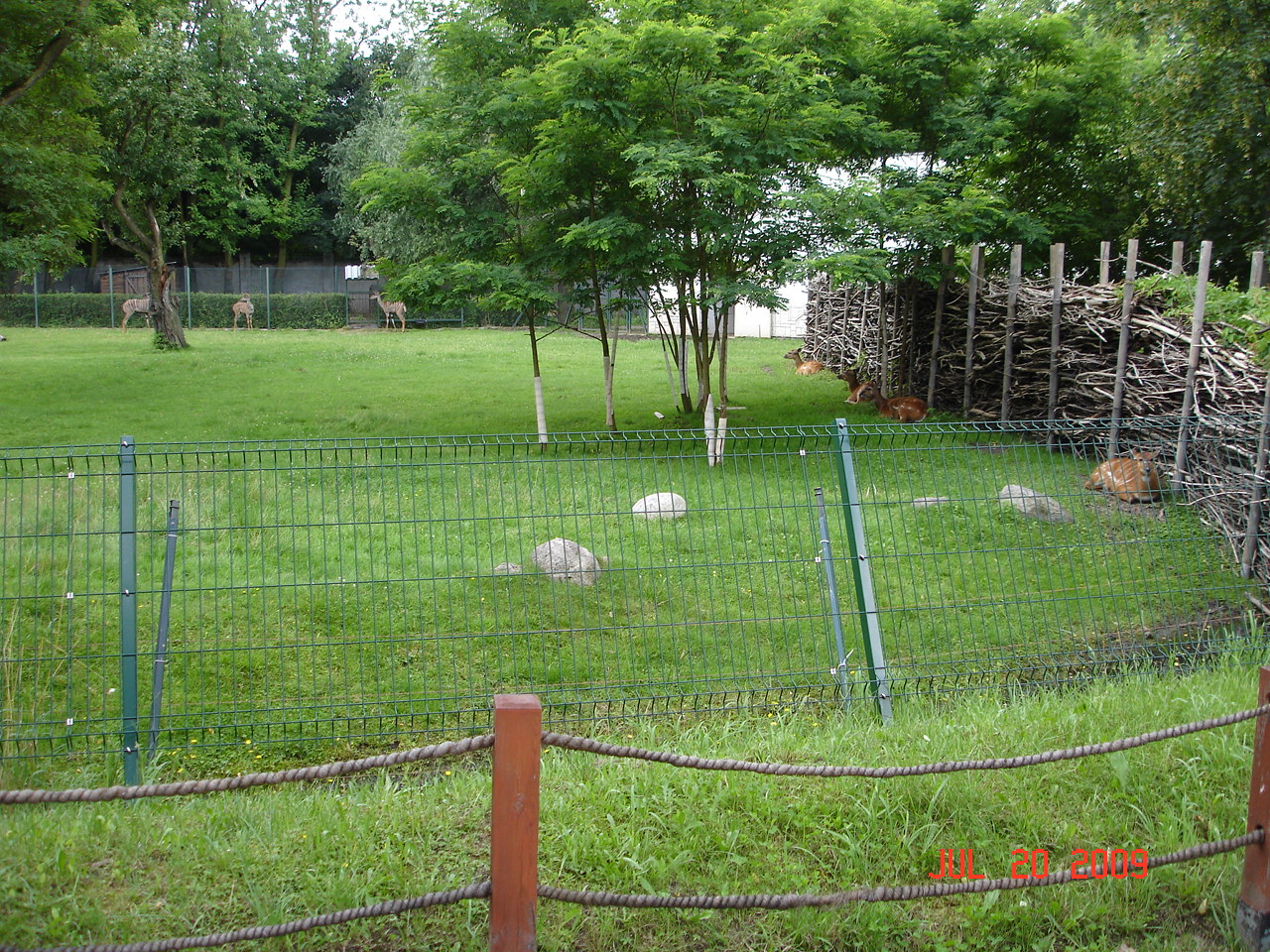 Lesser kudu and Sitatunga exhibit
