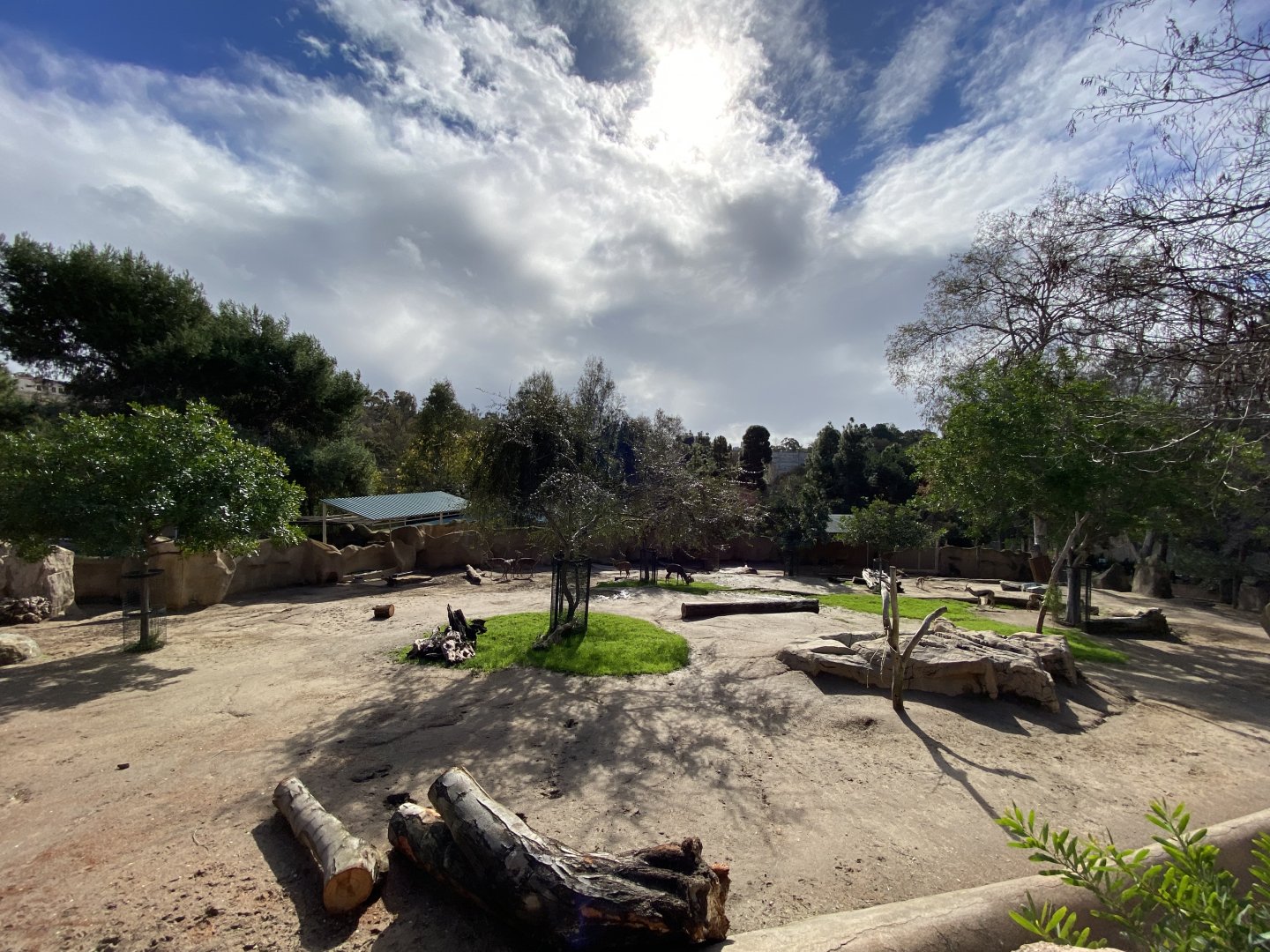 Lesser Kudu and Speke’s Gazelle Habitat