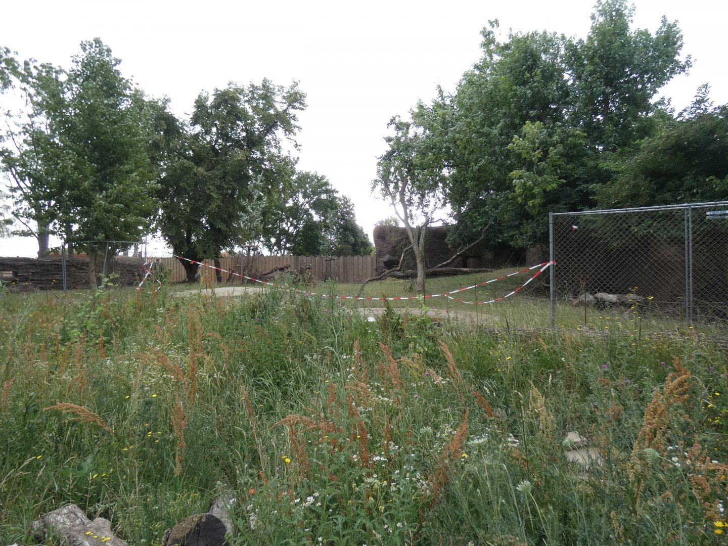 Lesser Kudu and Stanley Crane Enclosure